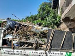 Demolition Debris Removal in La Palma, CA