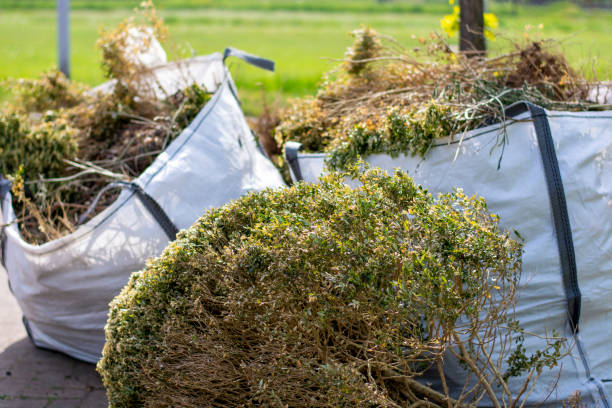 Recycling Services for Junk in La Palma, CA